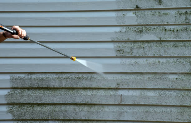 Best Building Exterior Washing  in Terville, WA